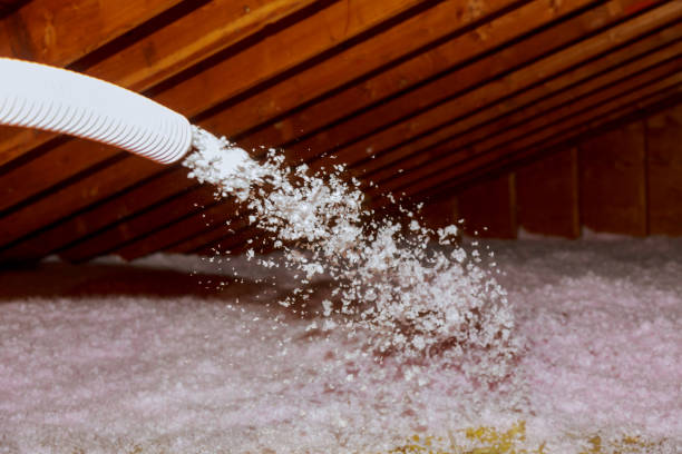 Best Attic Insulation Installation  in Temple, PA